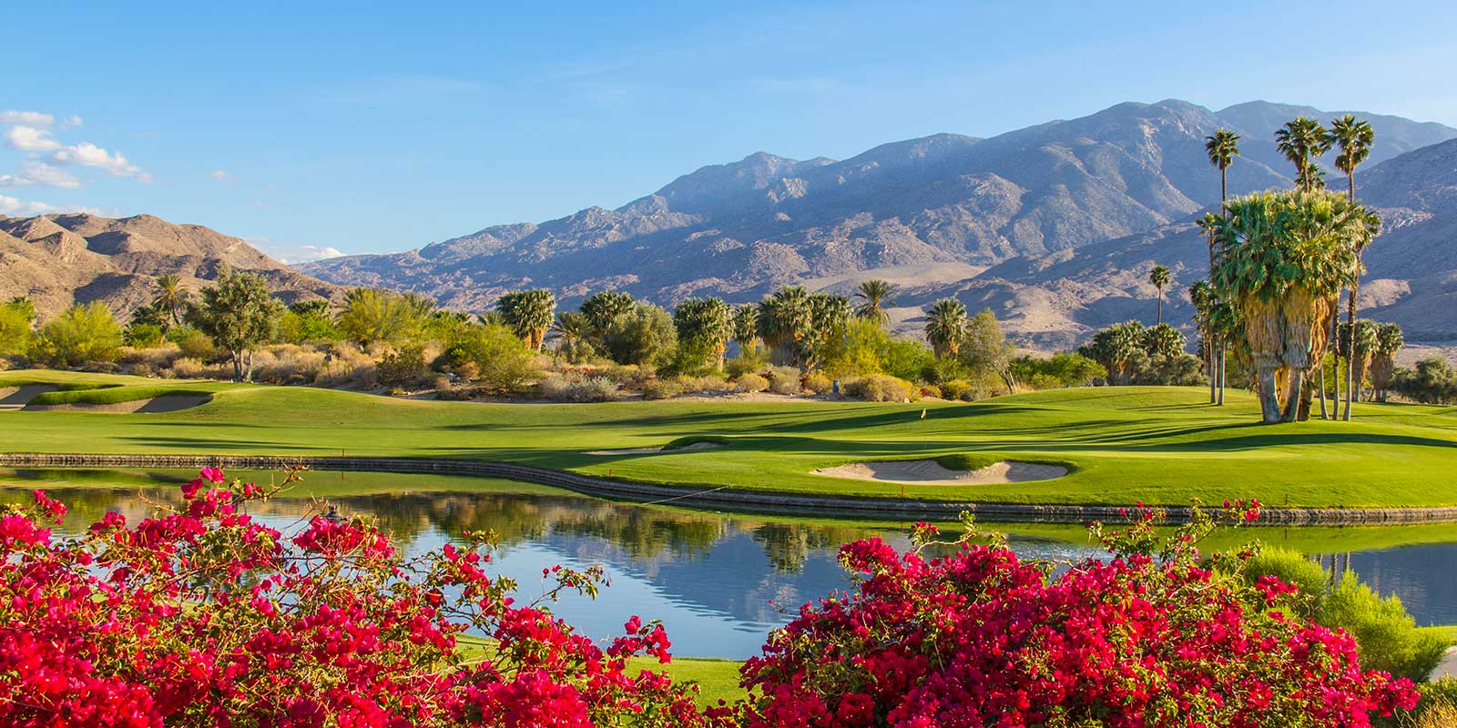 Gold Course view in Palm Springs